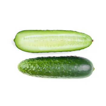 Cucumber  (42)-7361328-59301.webp